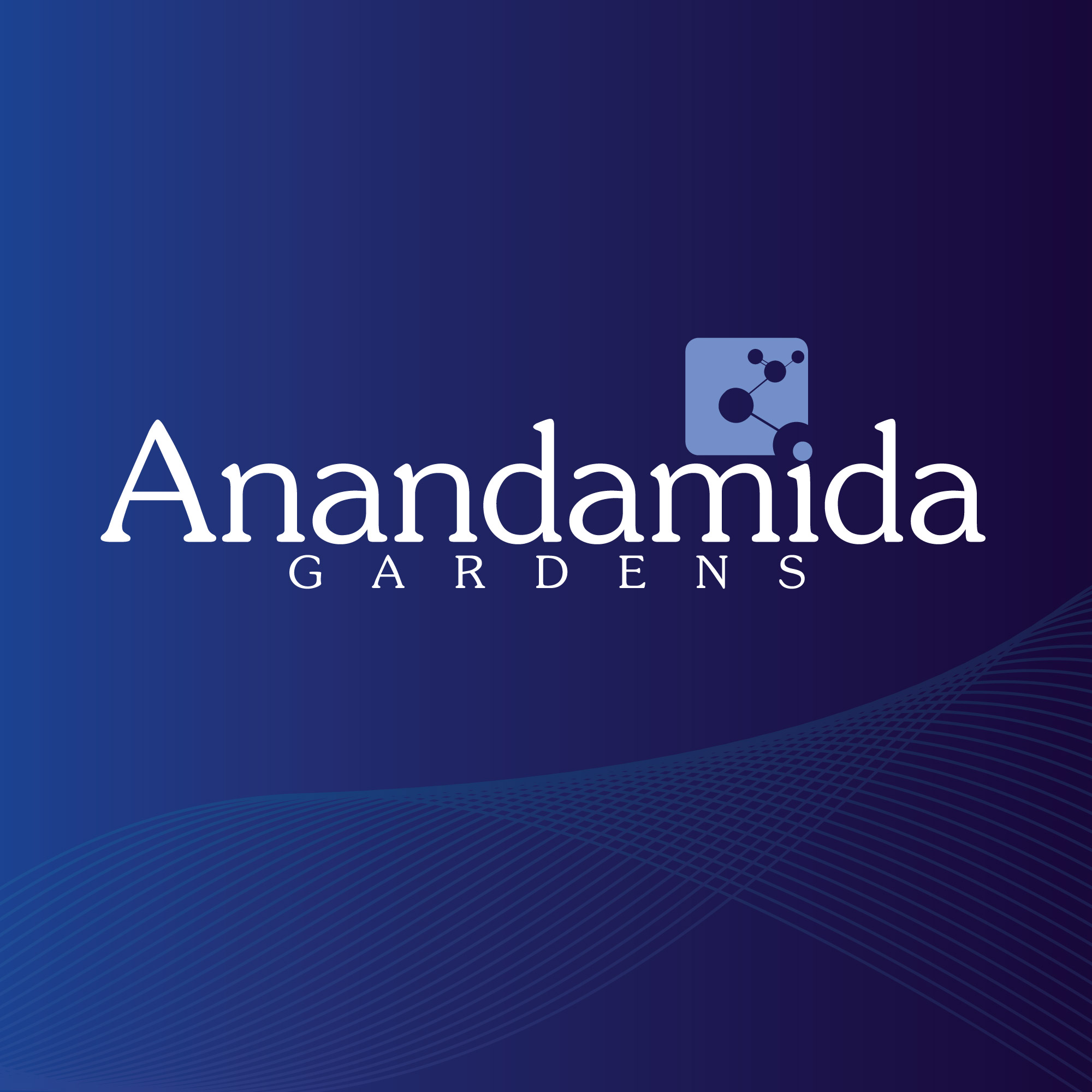 La anandamida