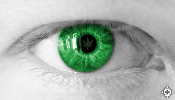 First scientific evidence suggesting the medicinal use of cannabis to treat glaucoma