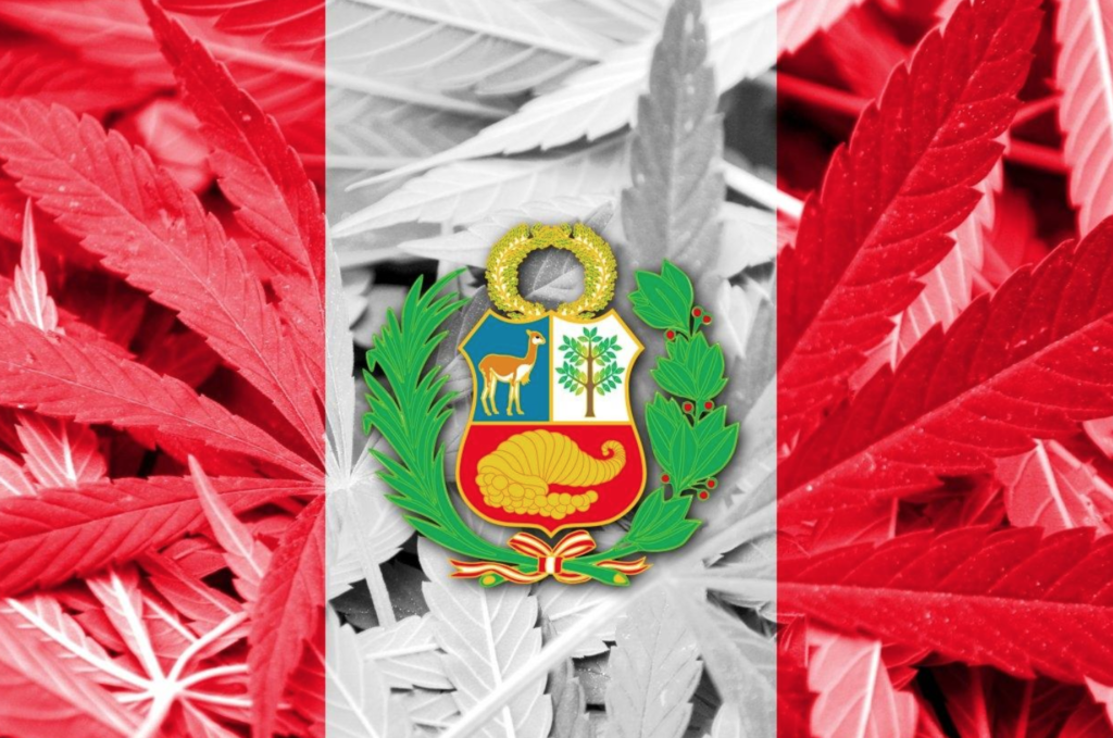 Peru regulates the medicinal and therapeutic use of cannabis and its derivatives