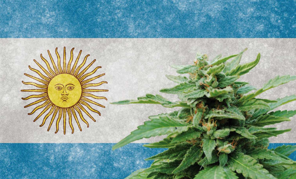 Argentina approved a new regulation on medical cannabis