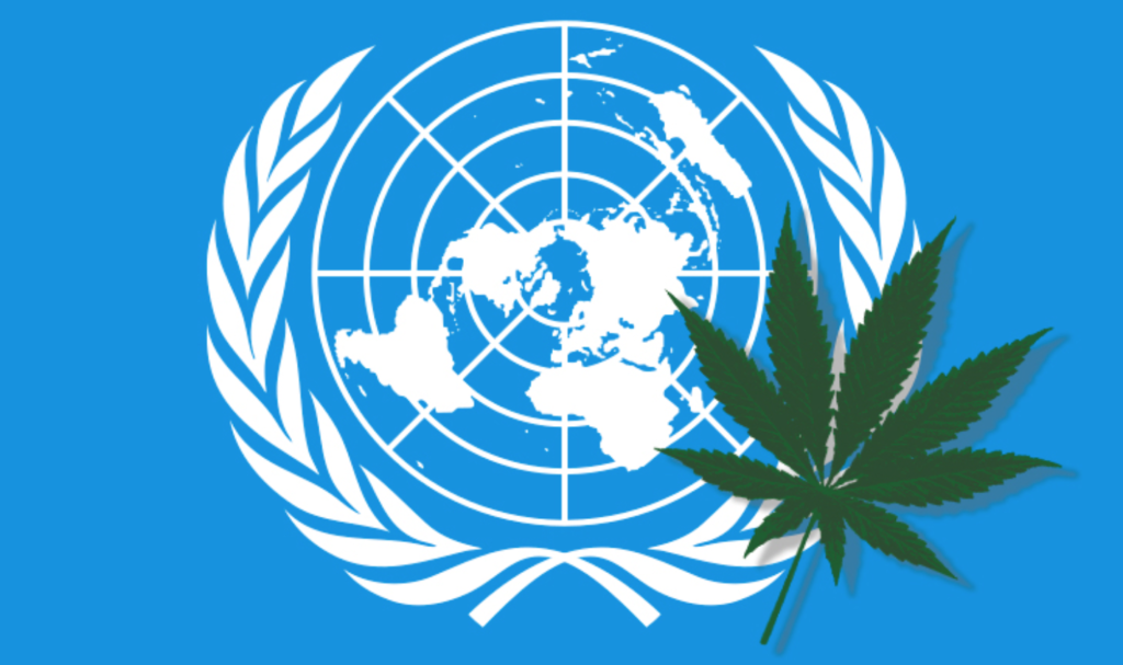 The UN officially recognizes the medicinal properties of cannabis