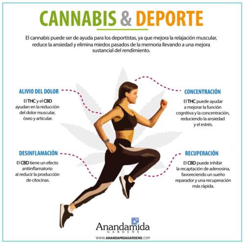 Deporte y Cannabis
